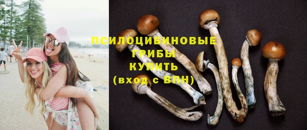 ECSTASY Балабаново